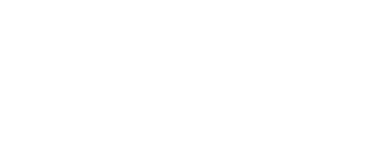 logo-footer-groupe-welsch-blanc